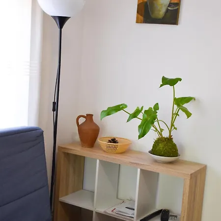 Les Palmeres * بلاتجا ذارو