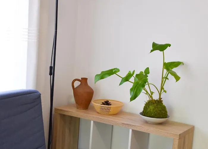 Les Palmeres * Platja d'Aro (Playa de Aro)